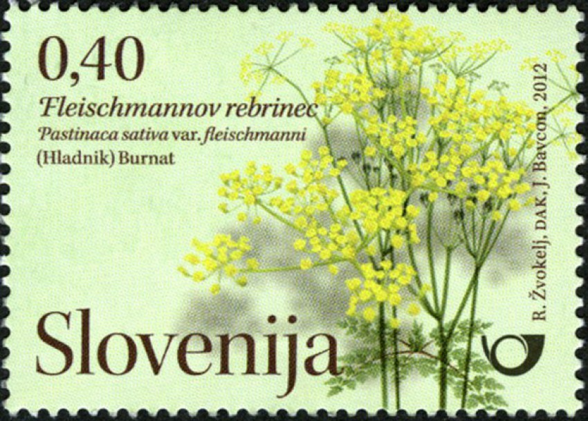 <p>Pošta je znamko, posvečeno Fleischmanovemu rebrincu, izdala pred leti.</p>