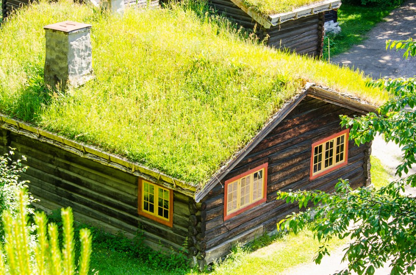 Tipična hiša na norveškem podeželju, ki ima na strehi posajeno travo.