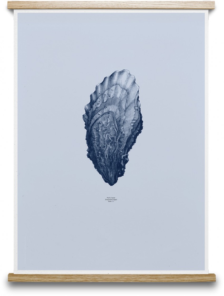 Poster Oyster, oblikovanje Form Us With Love, www.finnishdesignshop.com, 49 evrov
