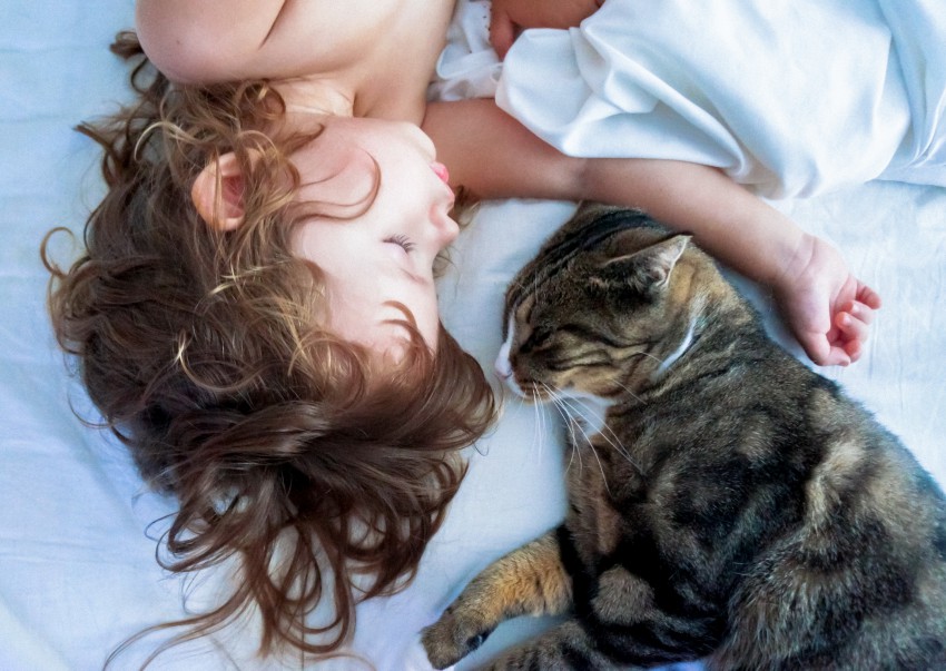  Mačke imajo rade udobje in človeške postelje so odlična izbira za spanje. 