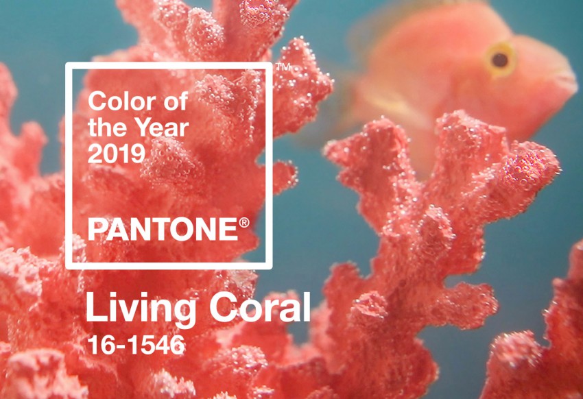 <p>Koralno barvo, ki so jo v družbi Pantone razglasili za barvo leta 2019, najdemo v naravi - v svetu koral.</p>