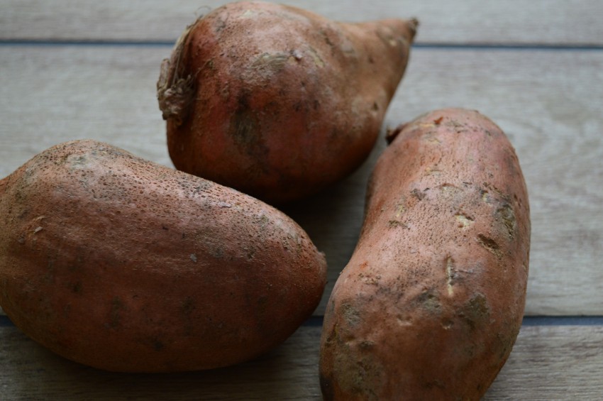 Tudi sladek krompir spada v skupino gomoljevk in korenovk, ki oblikujejo gomolje v obdobju kratkega dne. Zato ga pustimo na gredah čim dlje, vse do prve slane.  