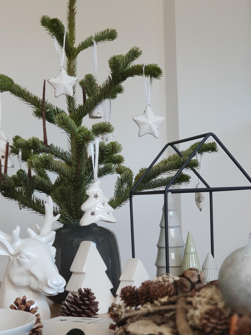 Božična dekoracija iz naravnih materialov (Gregor Oberstar)