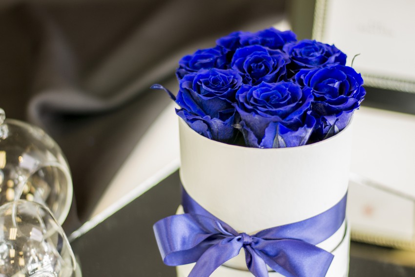 <p>Najprej iz vrtnic izlužijo barvila, s polnili jim dodajo tudi nadomestne pigmente; tako so lahko vrtnice tudi modre.</p>