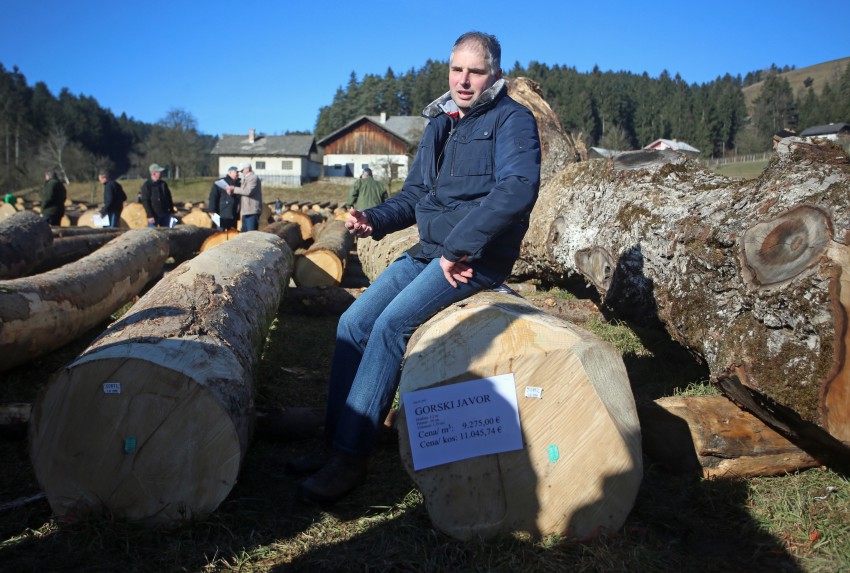 Najvišjo ceno po kubičnem metru lesa je sicer dosegel drugi hlod gorskega javorja, in sicer 9275 evrov za kubični meter, za cel ta hlod pa bo lastnik s Preserja v Občini Brezovica, Klemen Šuštaršič, dobil 11.045 evrov.