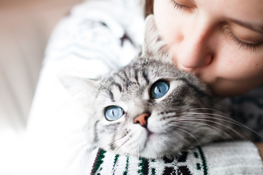 Mačke so lepa bitja, ki bi jih včasih radi samo stikali in poljubljali, a kaj ko nam te ljubezni pogostokrat ne vračajo.