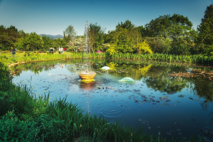 Ribnik v Botaničnem vrtu Viatori je nadvse priljubljena točka številnih obiskovalcev.