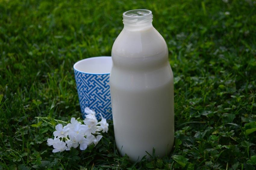 Škropljenje z mlekom krepi odpornost rastlin.