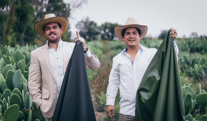 Mehiška podjetnika Adrián López Velarde in Marte Cázarez sta izdelala prvo organsko usnje, ki je v celoti narejeno iz kaktusa Opuncija.