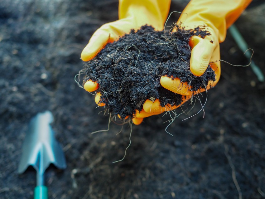 <p>Domači kompost, razpadli organski odpadki, je eno najboljših vrtnih gnojil.</p>