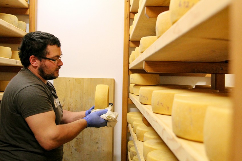 <p>Andrej Sovdat iz Smasta pri Kobaridu dostavlja sir po vsej Severni Primorski, vse do Krasa.</p>