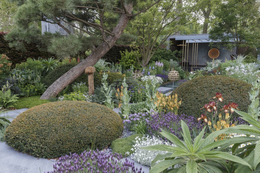 <p>Lanski zmagovalni vrt v kategoriji Show gardens, ki ga je oblikoval Chris Beardshaw.</p>