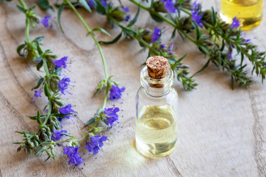 <p>Ožepkovo eterično olje je priljubljeno v aromaterapiji.</p>