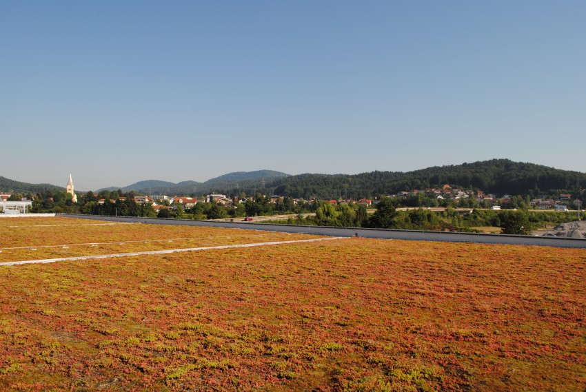Streho skladiščne stavbe v Črnučah preraščata mah in nizka trava.