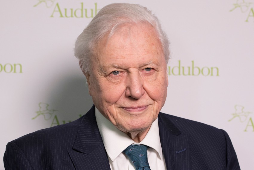 <p>David Attenborough, znani britanski voditelj oddaj in dokumentarnih filmov o naravi in živalih.</p>