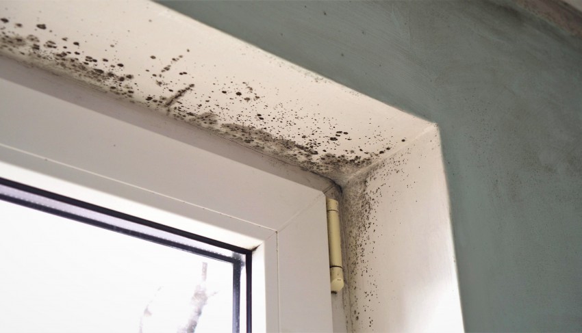 Pri neustreznem prezračevanju se v prostorih nabira tudi kondenzna vlaga, ki se hitro pokaže v obliki kapljic ob oknih. Razraščati se začne tudi plesen, ki dokazano škodljivo vpliva na naše zdravje.