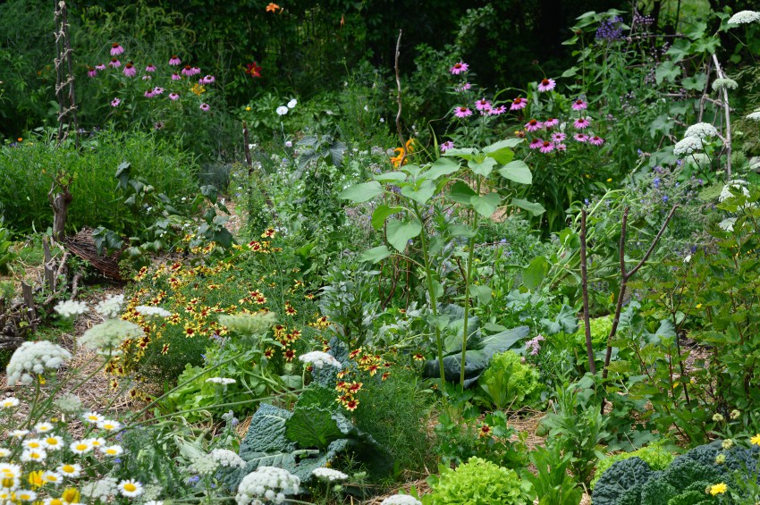Tla, polna življenja so pogoj za bujen vrt, vitalne in zdrave rastline. 