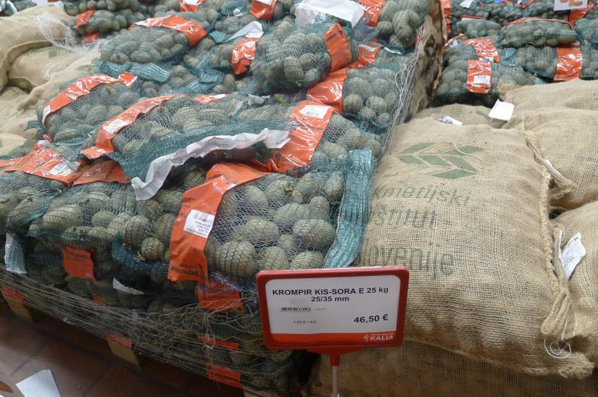 <p>Če nameravate gomolje semenskega krompirja nakaliti, ga kupite tri tedne pred sajenjem. Začetek aprila bo pravšnji čas, da gre v zemljo.</p>