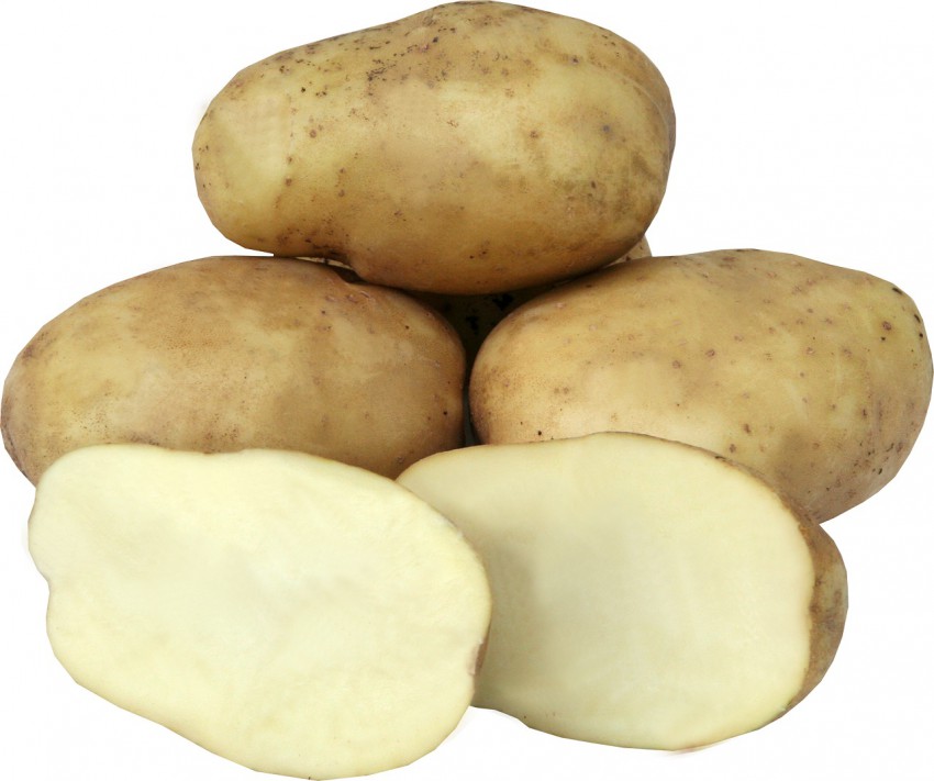 <p>KIS Kokra je slovenska sorta krompirja, odporna proti krompirjevi plesni.</p>