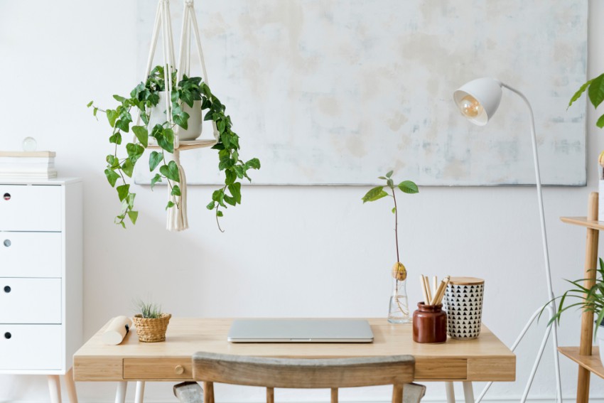 <p>V domačo pisarno, zlasti če nimate veliko prostora, lahko umestite pleteno obešanko, ki visi s stropa. Vanjo pa postavite eno od visečih rastlin.</p>