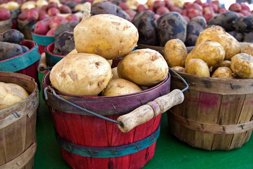 <p>Pri sortah krompirja ima vsaka družina in vsaka dežela svoje favorite.</p>