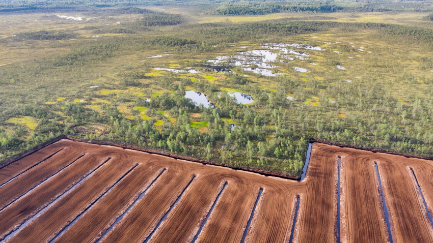 <p>Rjavo so degradirane površine v Estoniji, kjer so iz tal izrezali šotne plasti. Za nastanek šote v mokriščih so namreč potrebna tisočletja.</p>
