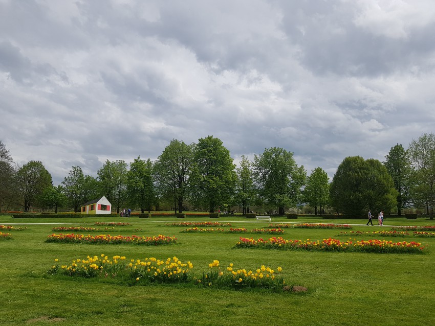 <p>V Arboretumu je na ogled kar 2 milijona cvetočih tulipanov.</p>