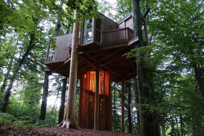 Drevesna hišica v celjskem mestnem gozdu.