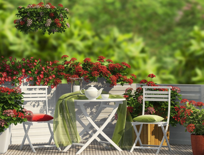 <p>Barvno usklajeno cvetje lahko posadite v več različno velikih okrasnih loncev, ki jih razporedite po terasi.</p>