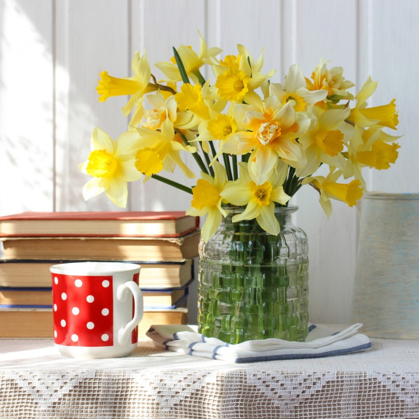 Šopka narcis ne postavite v vazo skupaj z drugimi pomladnimi cvetlicami.