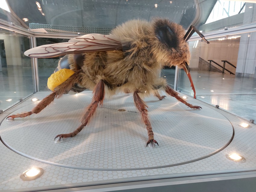 <p>Orjaška čebela, ki v dolžino meri 170 cm, je nastala s 3-D tiskom.</p>