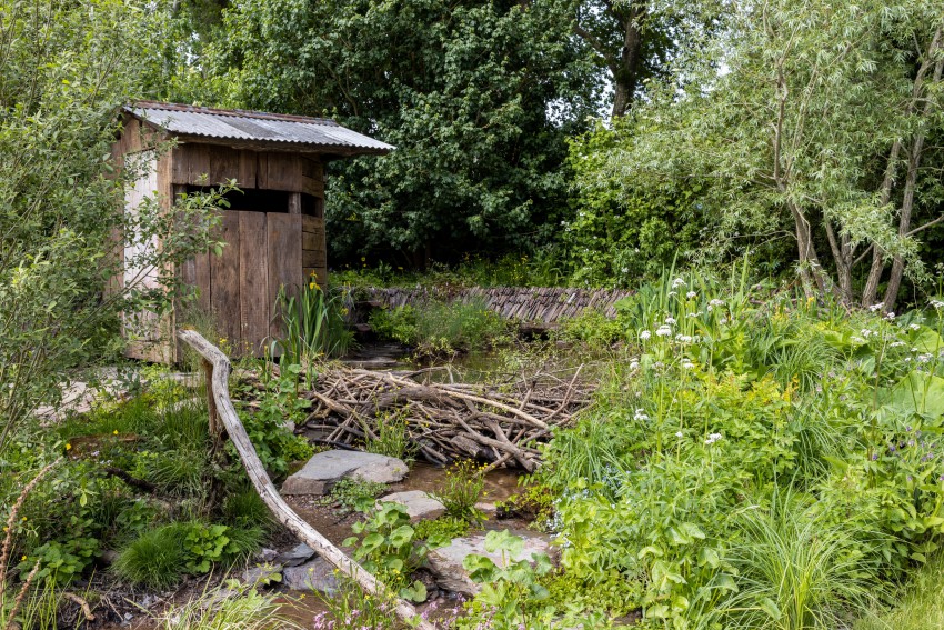 <p>Absolutni zmagovalec razstave, vrt Rewilding Britain Landscape, prikazuje oživljeno in »divjo« pokrajino v jugozahodni Angliji po ponovni naselitvi bobra.</p>