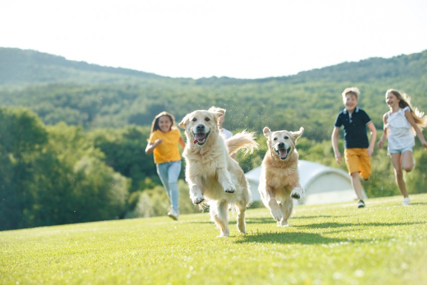 Dodatna pasja ali človeška družba kar kliče po večji energičnosti in k bolj intenzivnemu gibanju.