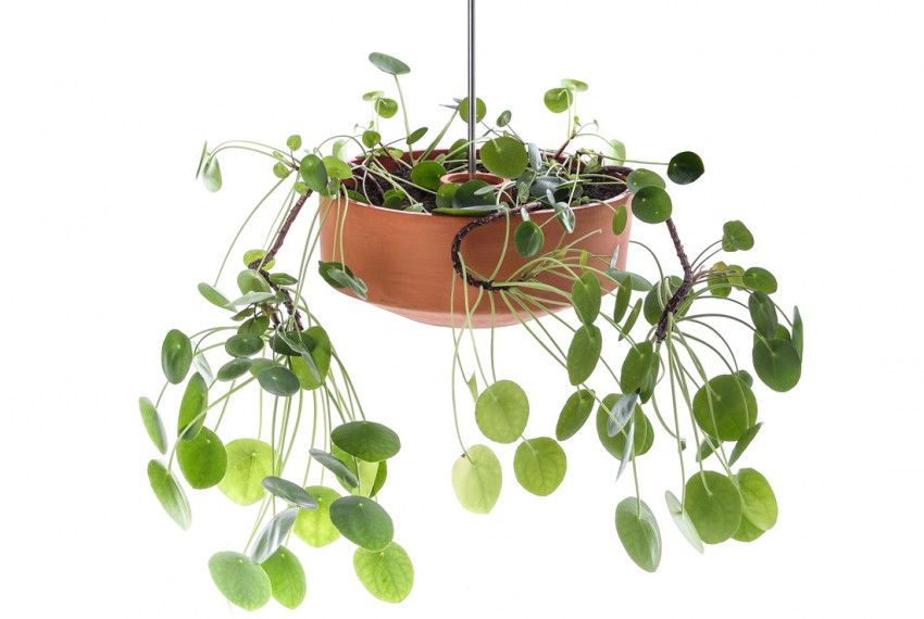 Oblikovanje leta: posoda za sobne rastline Freesbee (oblikovanje Katjuša Kranjc in Rok Kuhar, Raketa, proizvajalec Pikka).