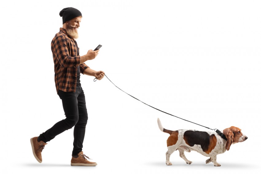 Dober sprehajalec psov se med sprehodom ne bo pogovarjal po telefonu, temveč se bo z vašim psom intenzivno ukvarjal.