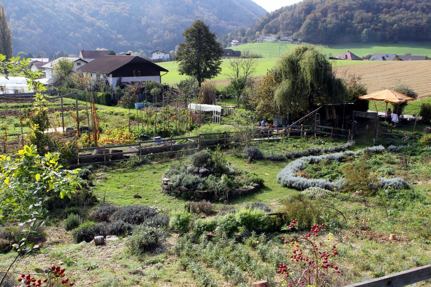 Biodinamična kmetija Majnika v Žičah je zrasla iz zeliščnega vrta, ki ga je Majda Temnik zasnovala leta 2010.
