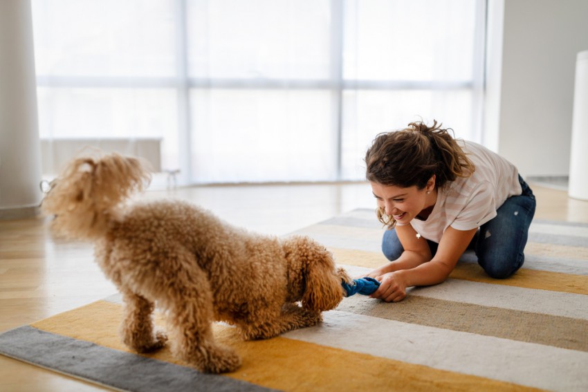 – Poskrbite, da bo pes sprostil vso odvečno energijo. Omogočite mu dovolj fizične in mentalne aktivnosti.