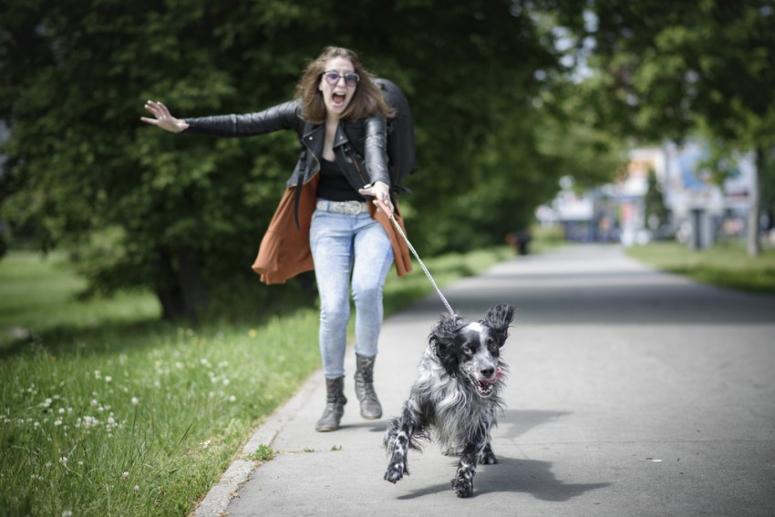 Naučite psa lepega vedenja, da sprehod z njim ne bo postal neugoden ali celo nevaren zanj, za vas ali okolico.