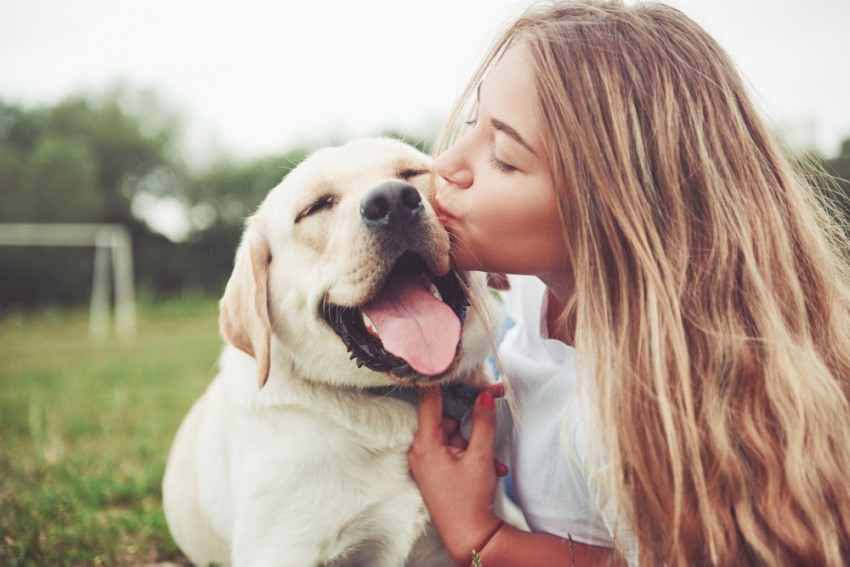 Kompleksno prepletanje genetike, okolja in osebnih izkušenj prispeva k sposobnosti posameznika, da ima rad pse ali druga živa bitja.