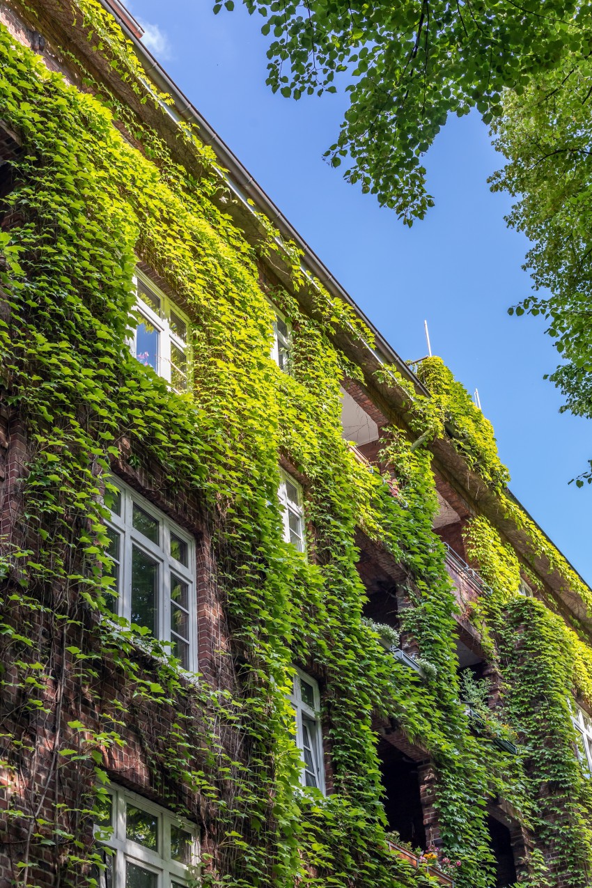 Zelena fasada pasivno zmanjšuje potrebo po ohlajanju stavbe.