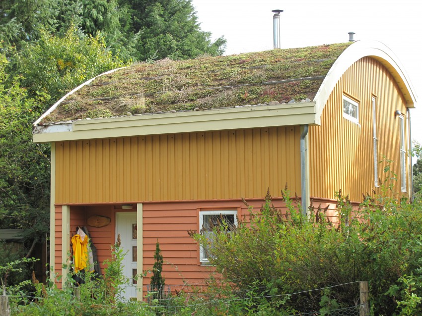 Dve primerni rešitvi za ekstremne vremenske pojave sta lesena stavba in zelena streha.