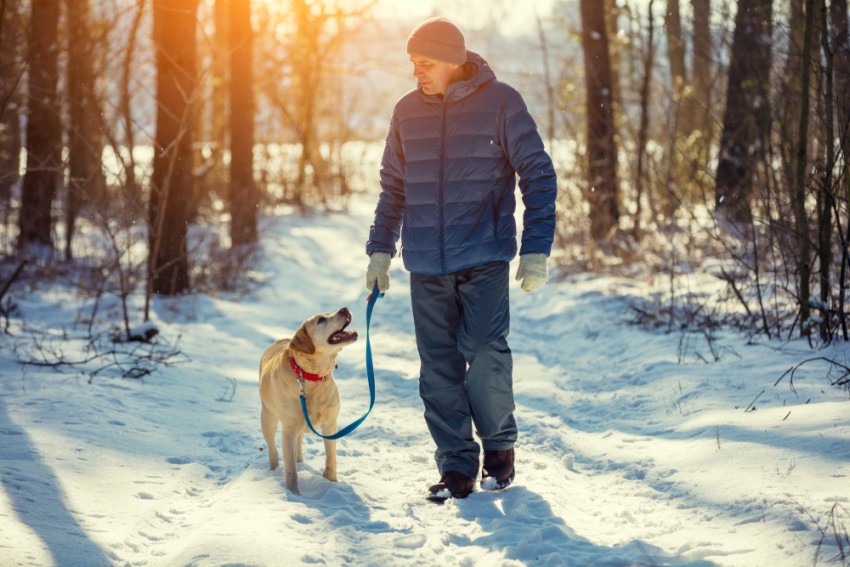 Psa na sprehodu opazujte in ob znakih nelagodja odpeljite na toplo. 