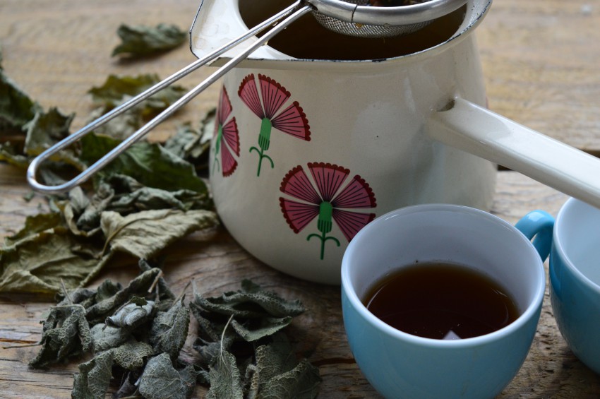 Iz žajblja pripravimo čaj, ki je krasna kopel za seme pred setvijo.